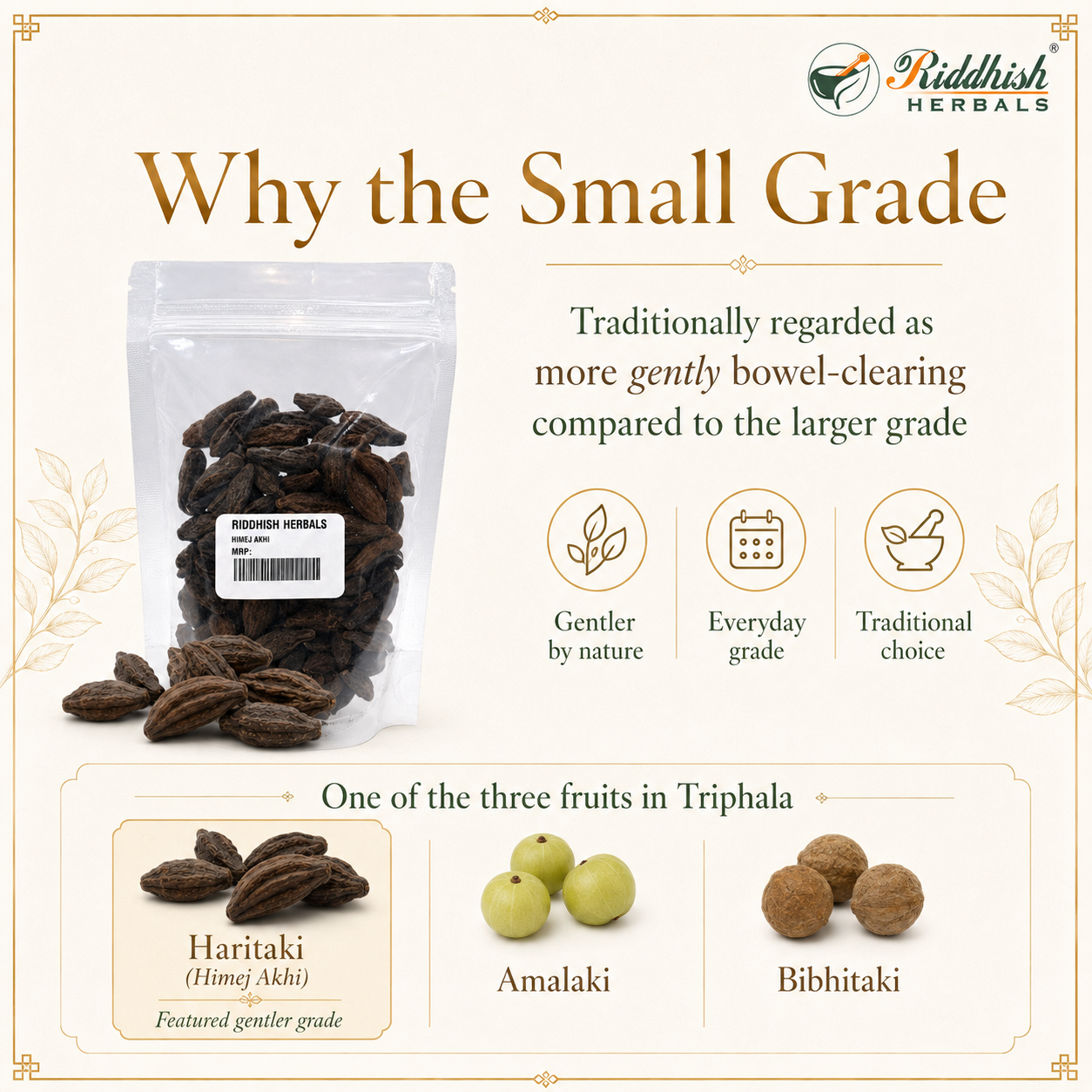 Himej Akhi why small grade gentler everyday grade one of three fruits in Triphala with Amalaki and Bibhitaki infographic