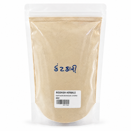 Kantakari Boringani Churna 100g front pouch mockup - Riddhish Herbals