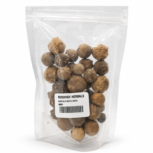 Majuphal (Kantalo Mayu) – Oak Gall Whole – Riddhish Herbals – 100g