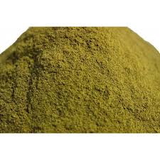 Katupila Churna-100g | Securinega leucopyrus – Traditional Wellness Support | by Riddhish Herbals