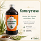 Kumaryasava Virgo classical Aloe digestive wellness tonic hero infographic by Riddhish Herbals