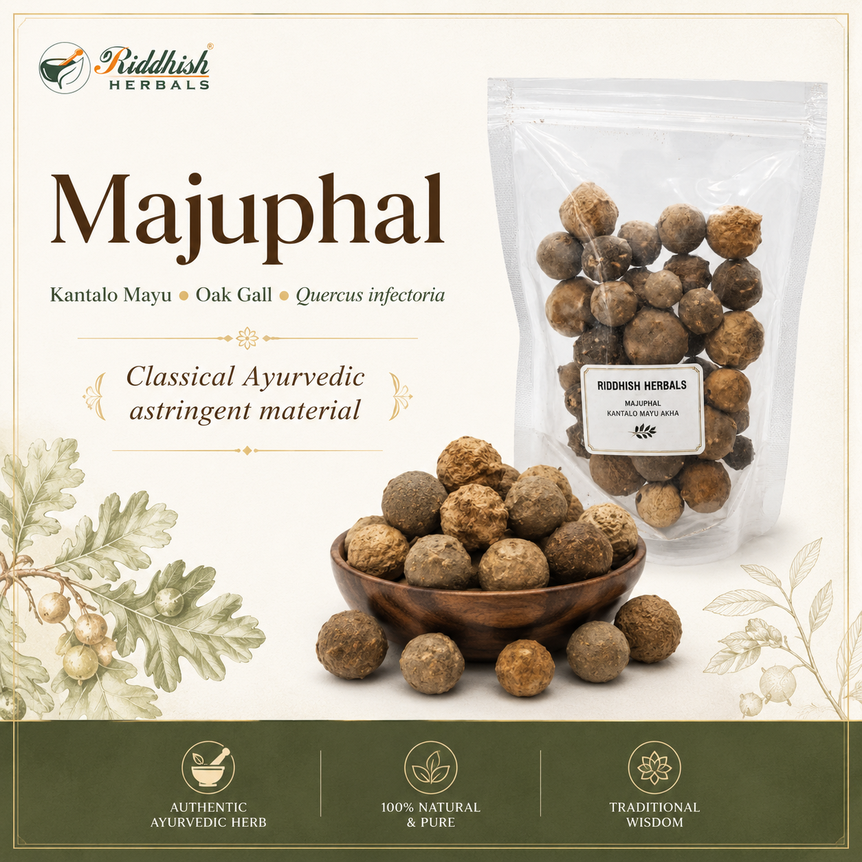 Majuphal Kantalo Mayu Oak Gall Quercus infectoria classical Ayurvedic astringent material infographic