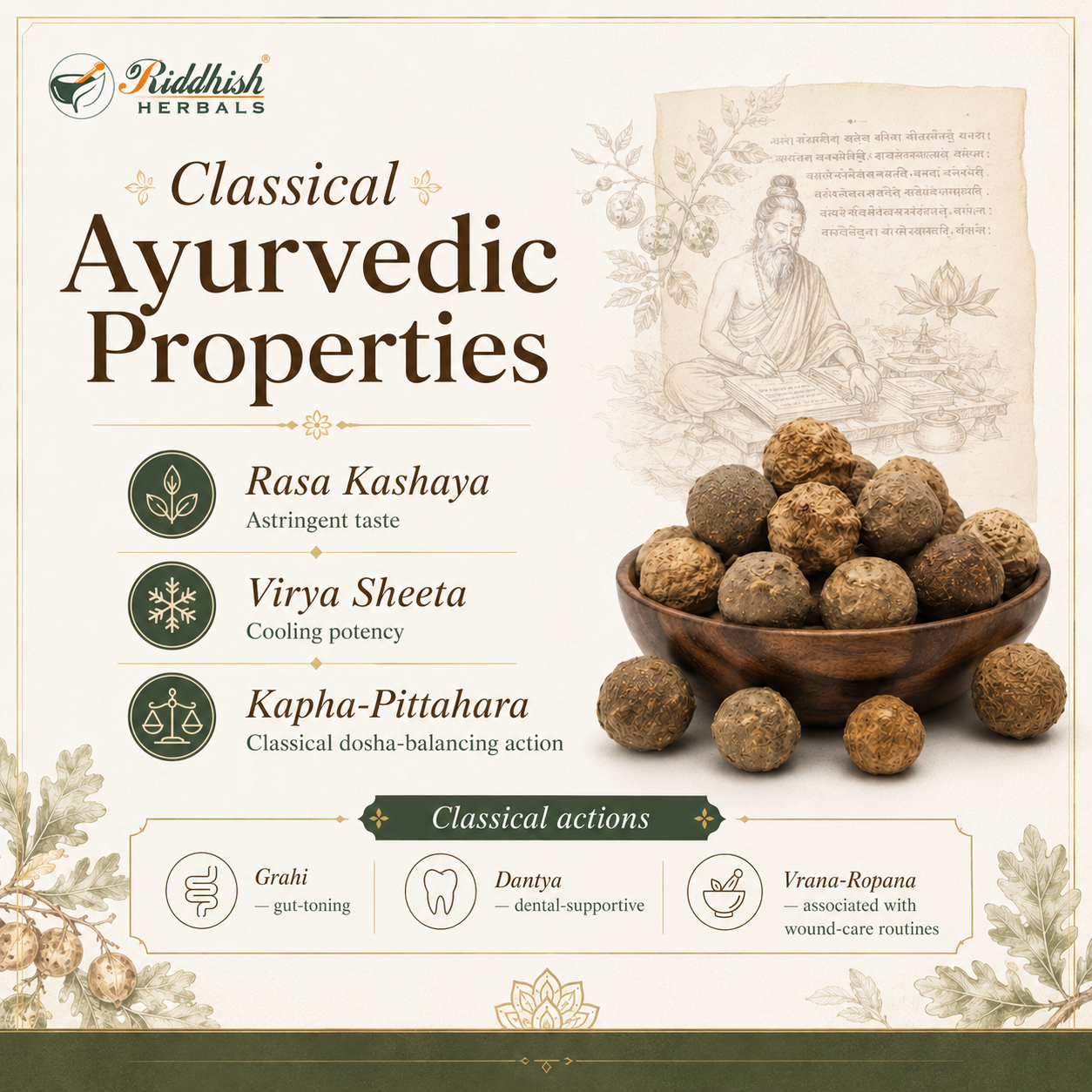 Majuphal classical Ayurvedic properties Rasa Kashaya Virya Sheeta Kapha Pittahara Grahi Dantya Vrana Ropana infographic