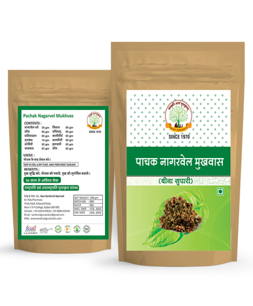 PACHAK NAGARVEL MUKHVAS 100GM