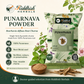 Punarnava Powder 100g Boerhavia diffusa root churna hero infographic by Riddhish Herbals