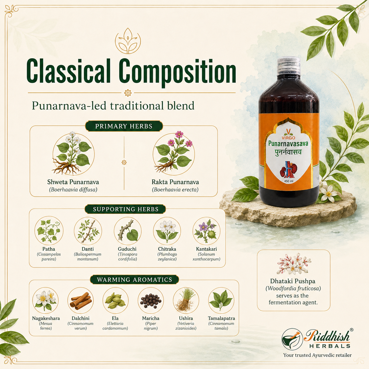 Punarnavasava Virgo classical composition Shweta Punarnava Rakta Punarnava infographic