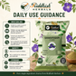 Sankhpushpi Churna daily use guidance safety storage and physician advice infographic