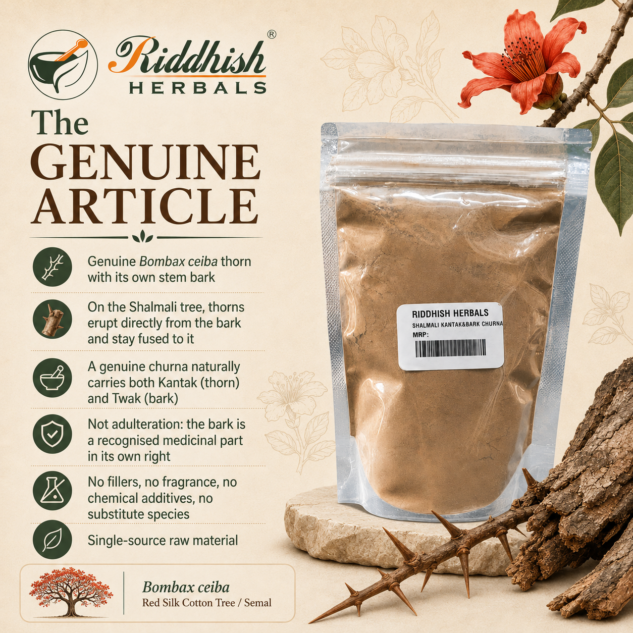 Shalmali Kantak Churna genuine Bombax ceiba thorn with stem bark infographic