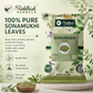 Riddhish Herbals 100 percent pure Sonamukhi Senna leaf powder infographic