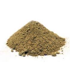 Varunshigru Kwath | Crataeva nurvala & Moringa oleifera – Urinary & Digestive Wellness Support | by Riddhish Herbals