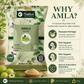 Why Amla Powder by Riddhish Herbals classical Ayurvedic fruit for hair skin routines